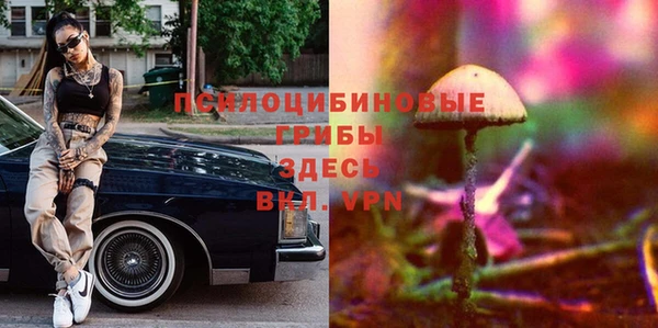 таблы Горняк