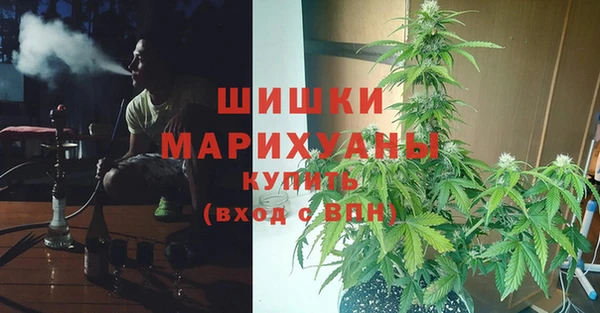 таблы Горняк
