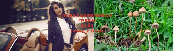 таблы Горняк