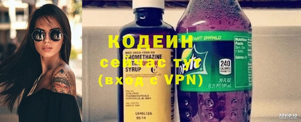 spice Сясьстрой