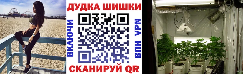 Марихуана планчик  наркошоп  Иваново 